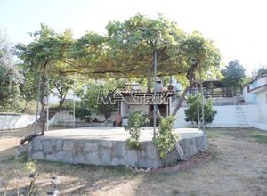 Διαμέρισμα προς πώληση Καλάνδρα (Κασσάνδρα) 110 τ.μ. 2 Υπνοδωμάτια
