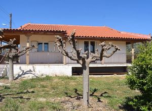 Μονοκατοικία προς πώληση Κάντια (Ασίνη) 65 τ.μ. 2 Υπνοδωμάτια