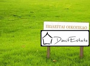 Plot Glika Nera