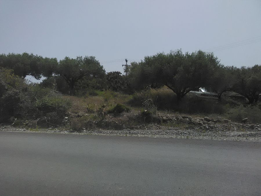 Photo 132015994