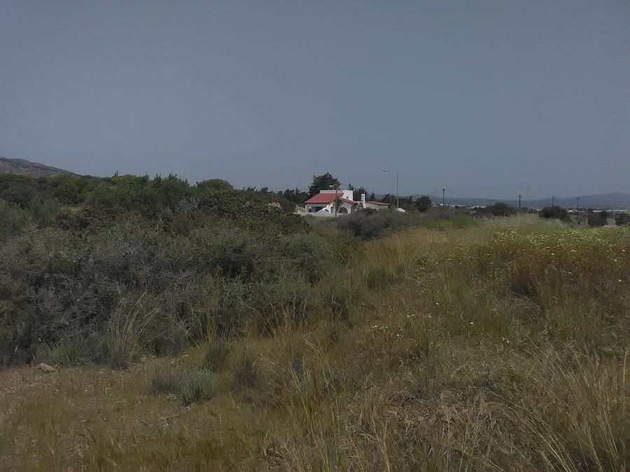 Photo 132015997