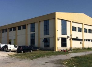 Βιομηχανικός χώρος προς πώληση Λακκιά (Βασιλικά) 2.863 τ.μ.