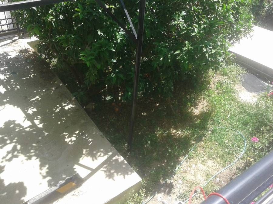 Photo 133009792