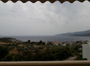 Διαμέρισμα προς πώληση Λουτρά Ωραίας Ελένης (Σαρωνικός) 44 τ.μ. 1 Υπνοδωμάτιο