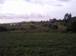 Photo 1342942
