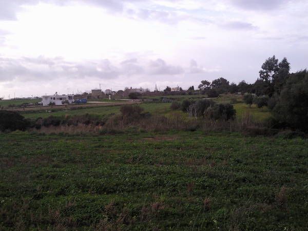 Photo 1342942