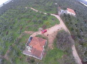 Αγροτεμάχιο, Λαγκουβάρδος