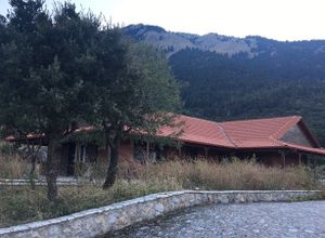 Διαμέρισμα προς πώληση Λιβαδειά 131 τ.μ. 1 Υπνοδωμάτιο Νεόδμητο