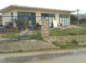 Κατάστημα προς πώληση Παλική (Κεφαλονιά) 120 τ.μ.