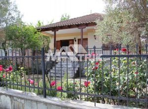 Μονοκατοικία προς πώληση Κέντρο (Απολλώνια) 105 τ.μ. 3 Υπνοδωμάτια