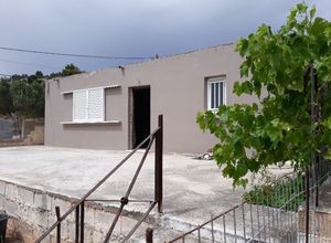 Μονοκατοικία προς πώληση Πράσινος Λόφος (Αρτέμιδα (Λούτσα)) 50 τ.μ. 1 Υπνοδωμάτιο