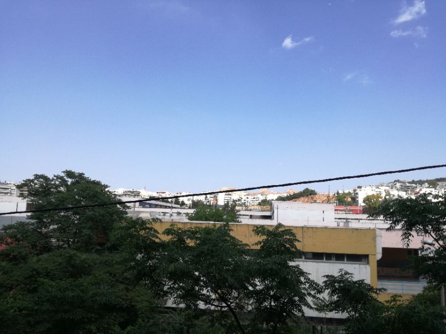 Photo 135290506