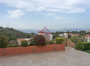 Διαμέρισμα για ενοικίαση Νέος Βουτζάς (Νέα Μάκρη) 120 τ.μ. 1 Υπνοδωμάτιο Νεόδμητο