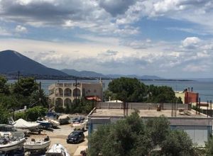 Διαμέρισμα για ενοικίαση Έξω Παναγίτσα (Χαλκίδα) 50 τ.μ. 1 Υπνοδωμάτιο