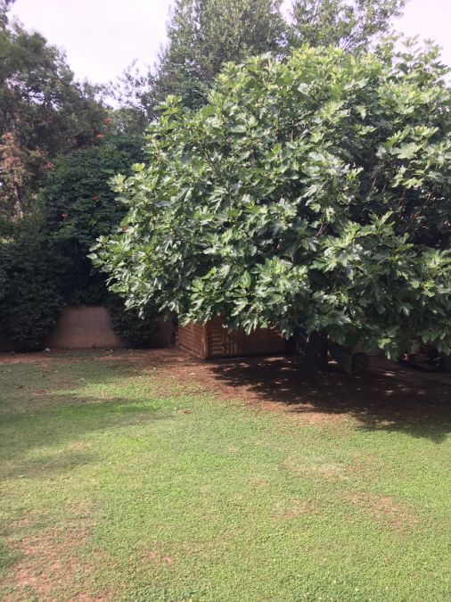 Photo 137448874