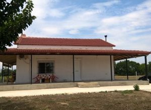 Μονοκατοικία προς πώληση Δενδρά (Τύρναβος) 140 τ.μ. 2 Υπνοδωμάτια