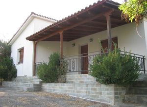 Detached House, Riza