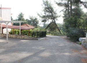 Μονοκατοικία προς πώληση Παλιούρι (Παλλήνη) 80 τ.μ. 2 Υπνοδωμάτια Νεόδμητο