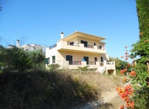 Μονοκατοικία για ενοικίαση Αχίλλειο (Κέρκυρα) 185 τ.μ. 4 Υπνοδωμάτια
