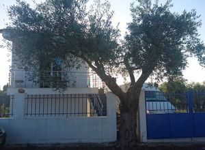 Μονοκατοικία προς πώληση Ασμήνιο (Αρτεμίσιο) 134 τ.μ. 3 Υπνοδωμάτια