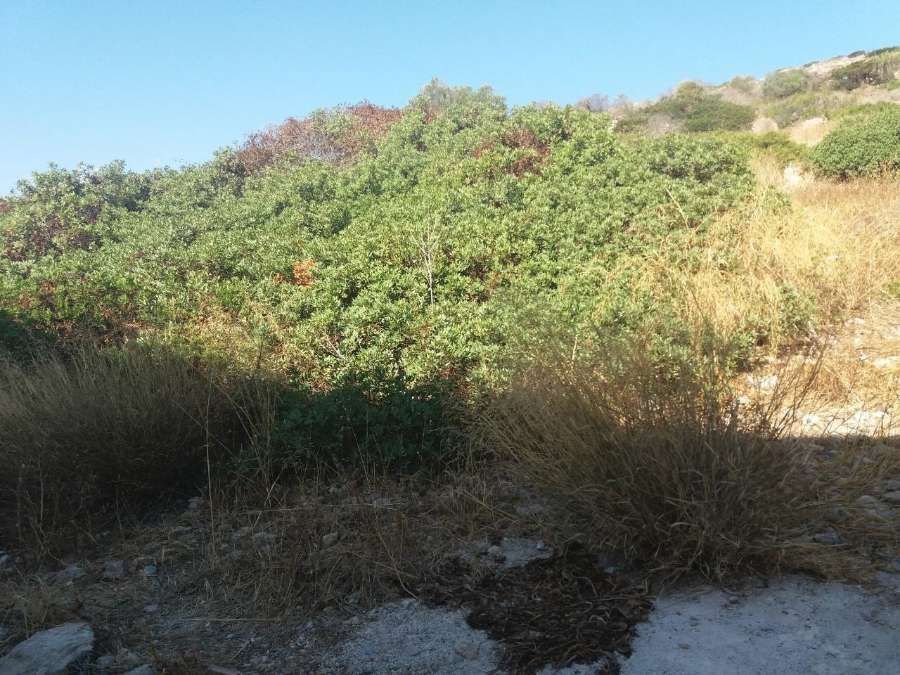 Photo 141022441