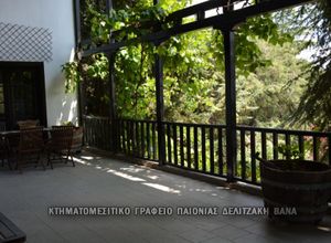 Βίλλα προς πώληση Γρίβα (Γουμένισσα) 300 τ.μ. 6 Υπνοδωμάτια Νεόδμητο