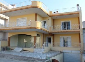 Συγκρότημα προς πώληση Βασιλικό (Ληλάντιο) 532 τ.μ.