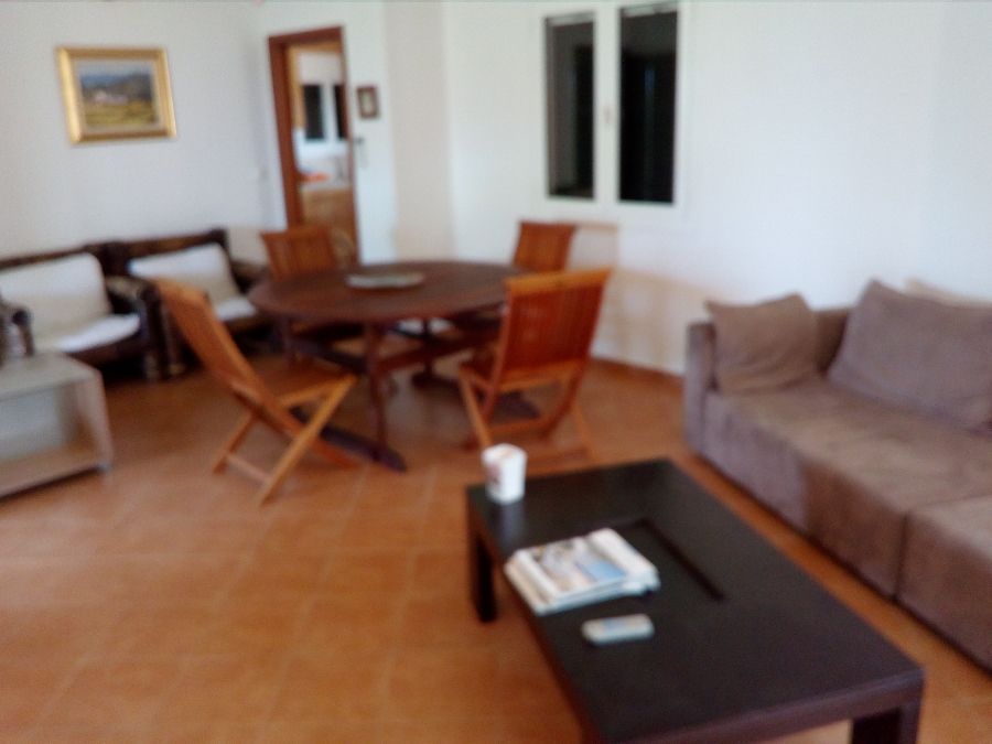 Photo 143981665