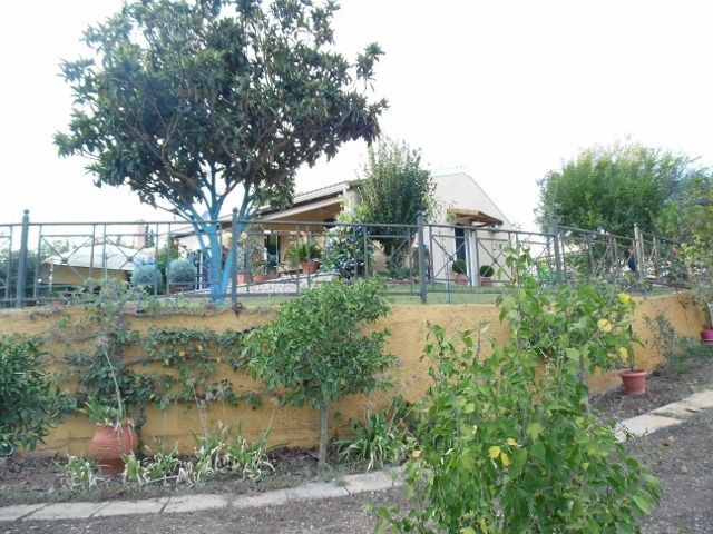 Photo 144034051