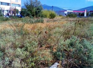 Land Plot, Thermi