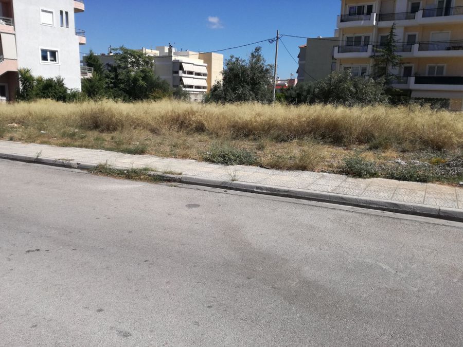 Photo 146519203