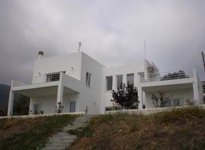 Βίλλα προς πώληση Τροιζήνα 255 τ.μ. 4 Υπνοδωμάτια