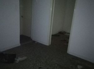 House Elinoroson