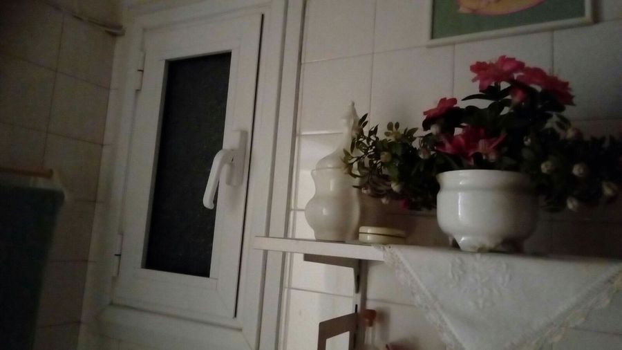 Photo 159918730