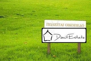 Plot Andros