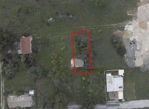 Plot Pallini