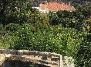Plot Andros