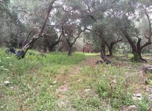Plot Paxoi
