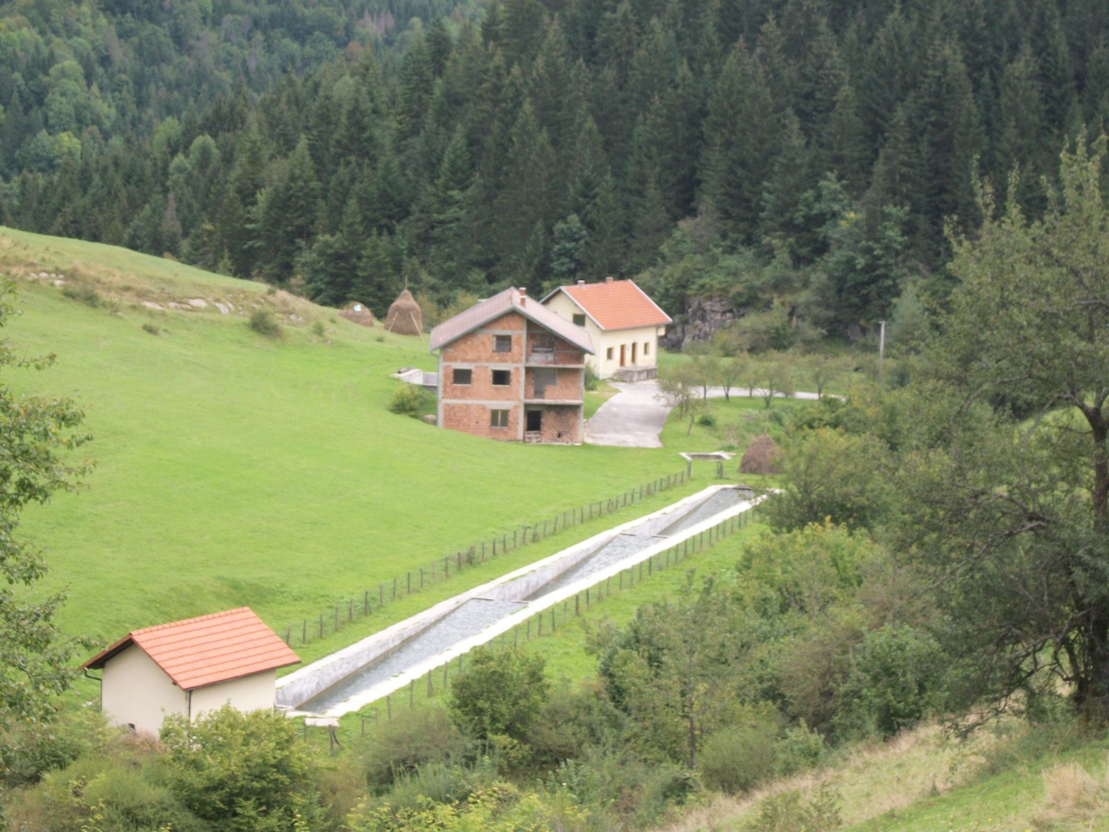 Farm parcel for sale, 30000sqm, 879,615KM Vitovlje Indomio.ba