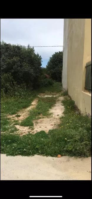 Plot Artemida