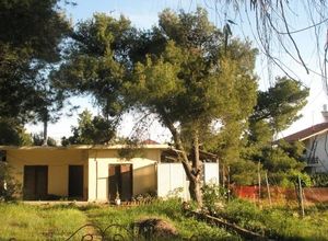 Plot Nea Makri