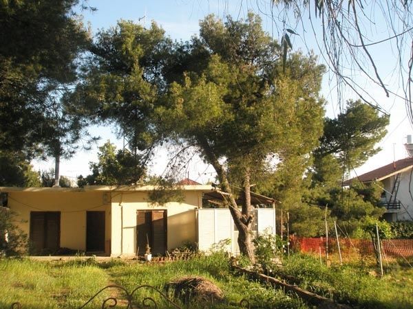 Plot Nea Makri