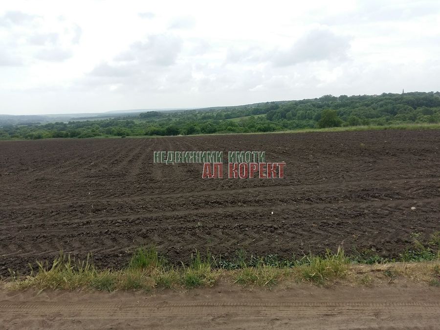 Снимка 191578198