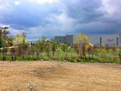 Снимка 200342767