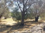 Photo 204206770