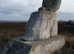 Снимка 208028641