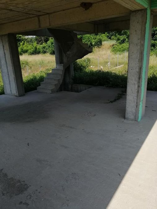 Photo 215303797
