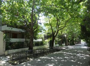 Studio/Γκαρσονιέρα, Στροφύλι