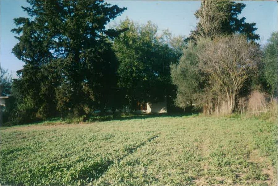 Photo 217033726