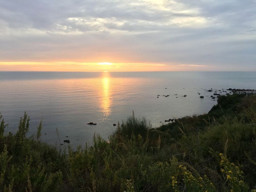 Photo 222763606